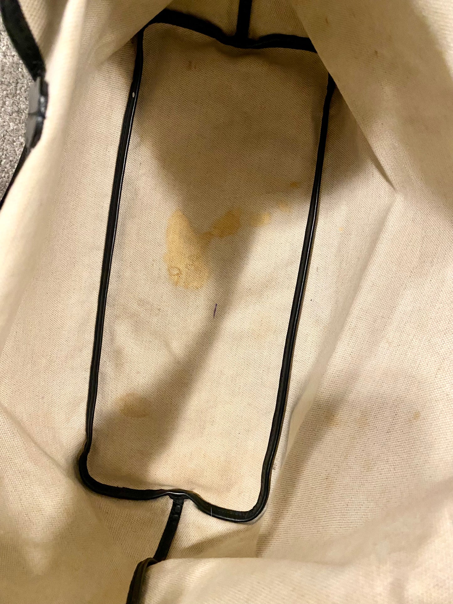 Goyard Saint Louis PM Tote Bag