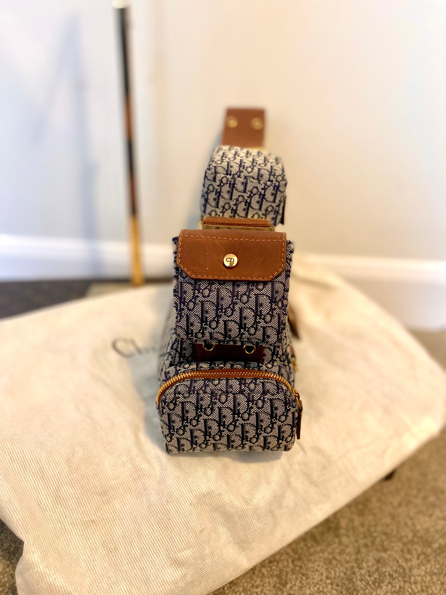 Dior Street Chic Columbus Avenue Bag