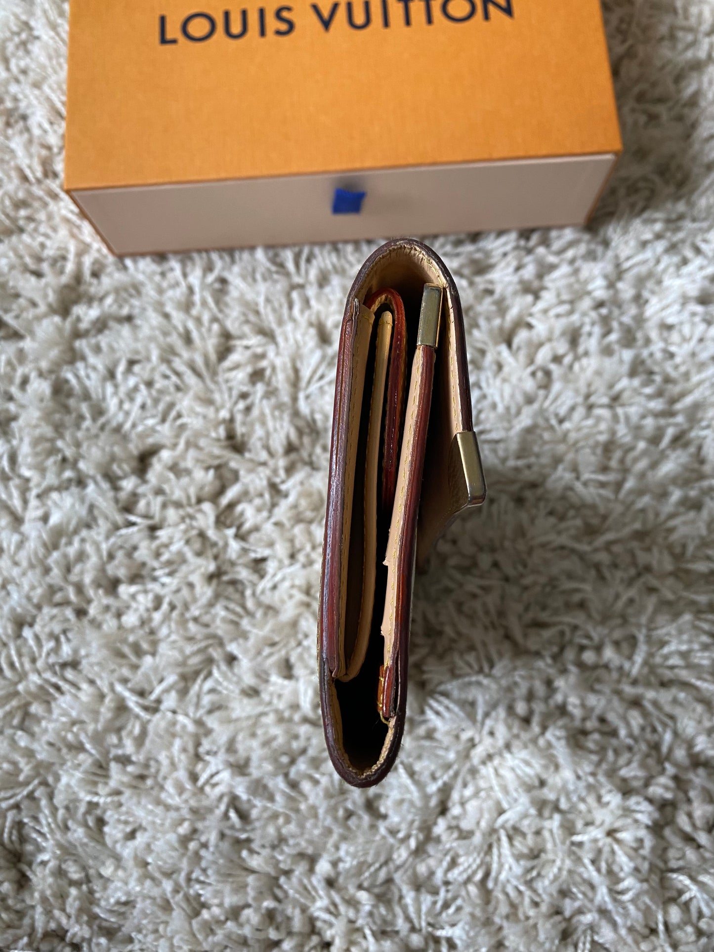 Louis Vuitton Multicolor Wallet