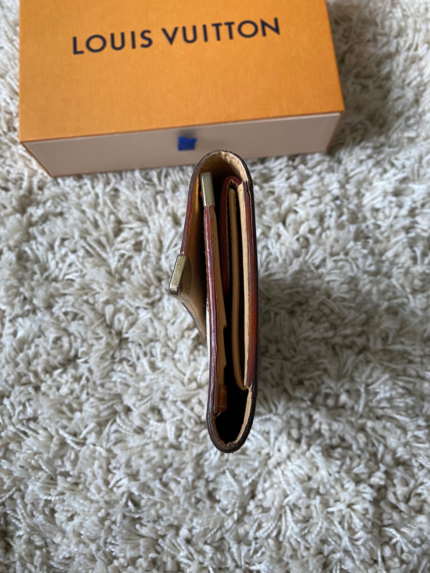 Louis Vuitton Multicolor Wallet