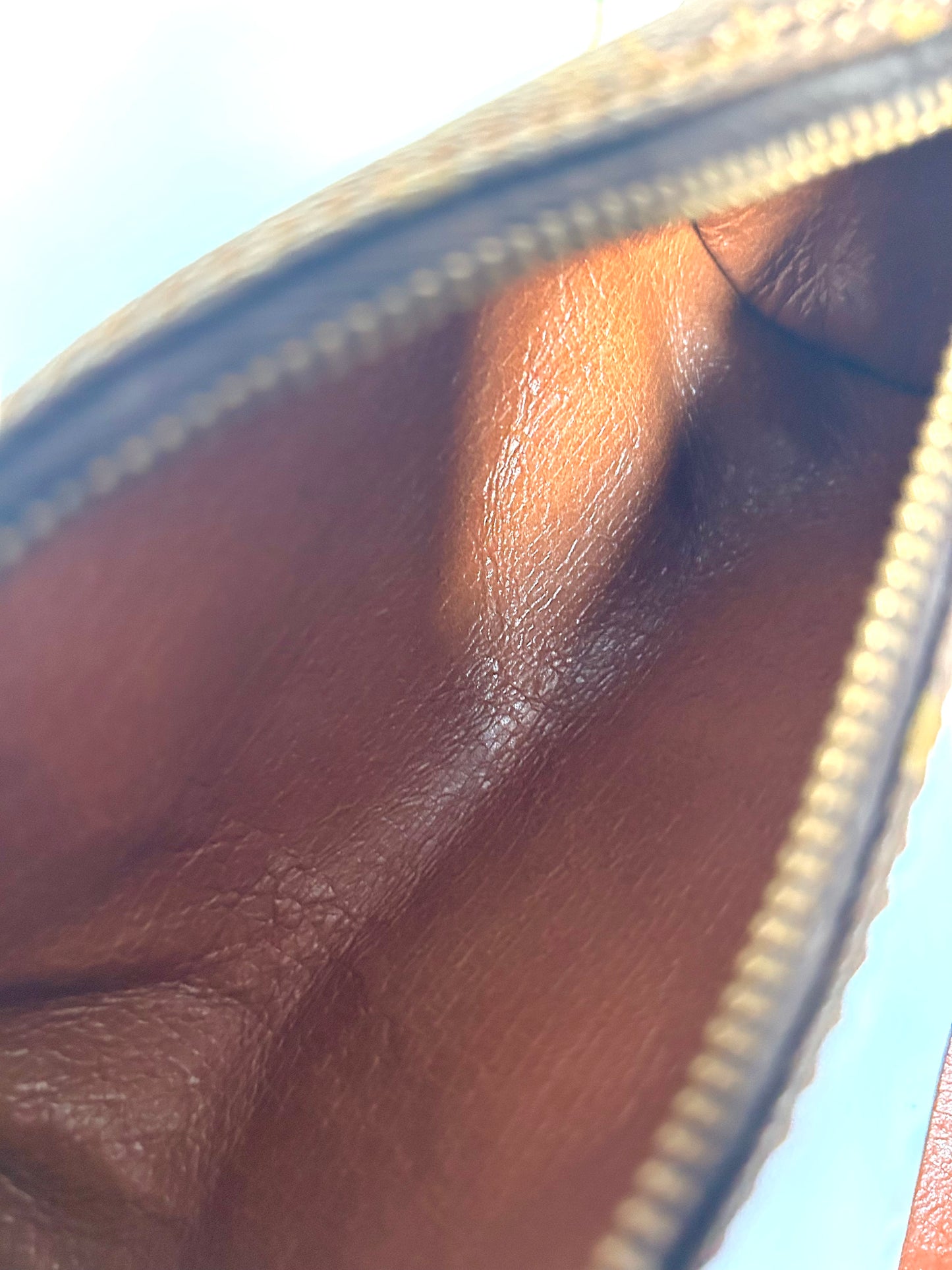 Louis Vuitton Mini Papillon