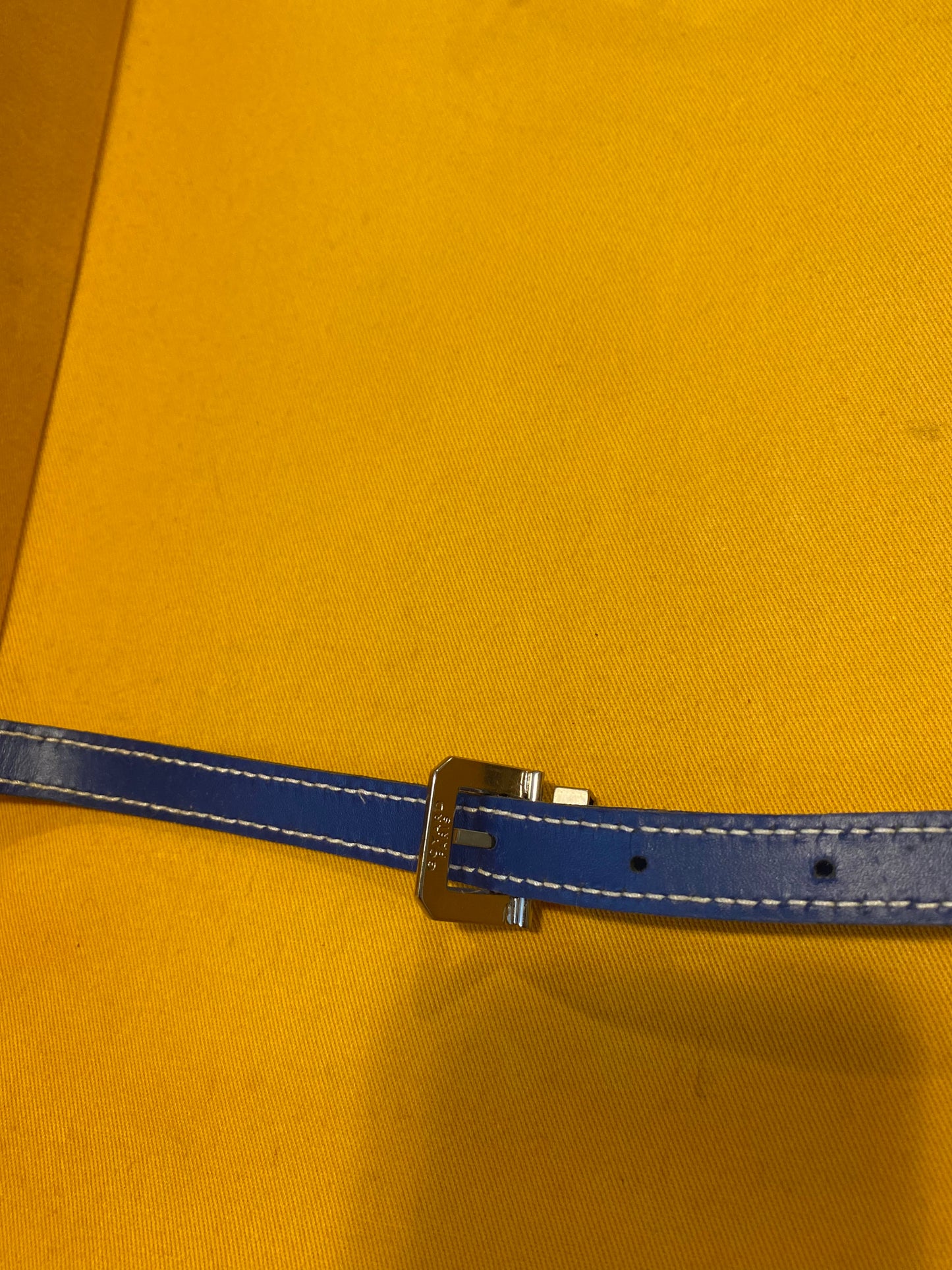 Blue Goyard Roller Suitcase