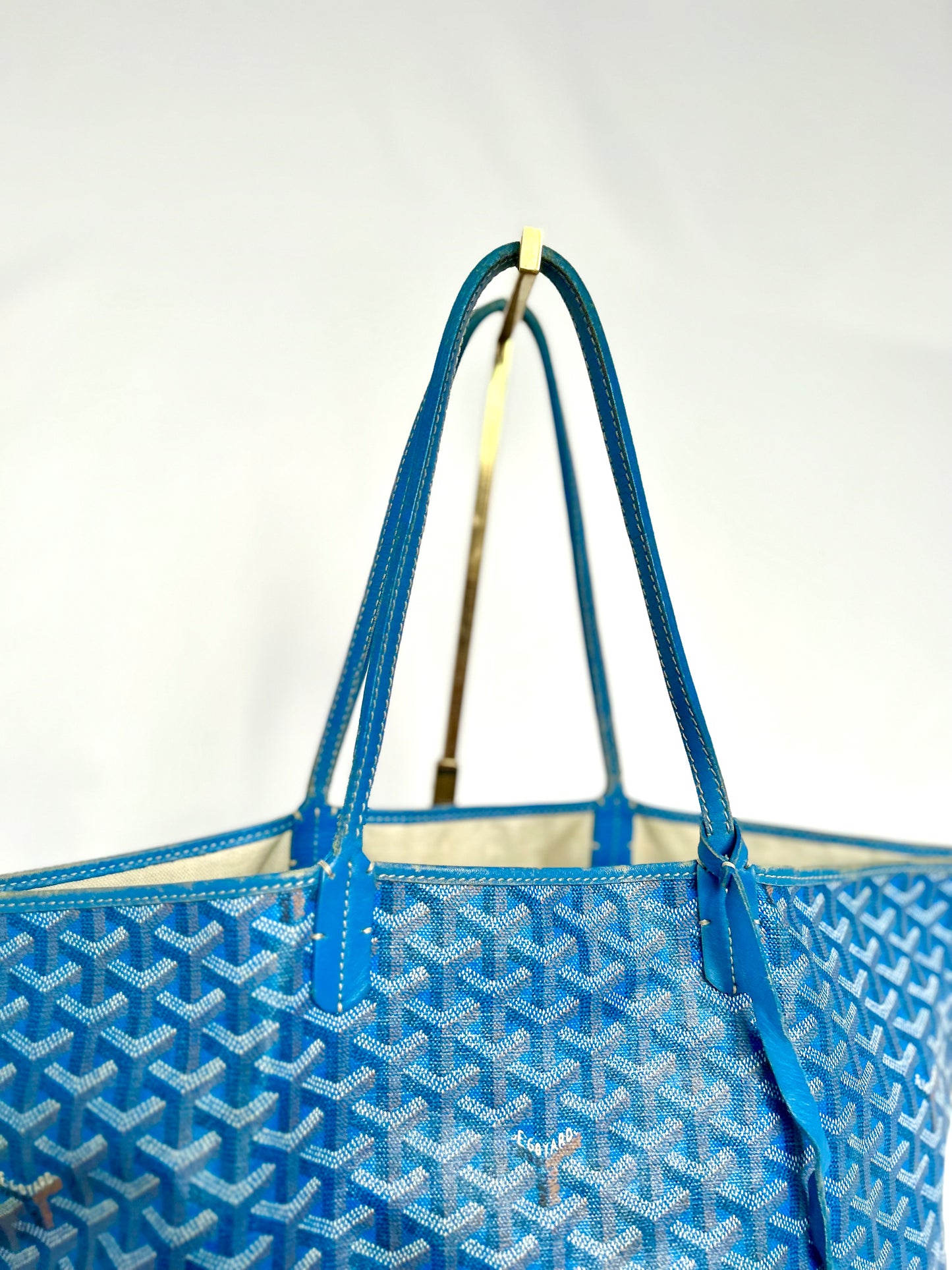Goyard Saint Louis PM Sky Blue
