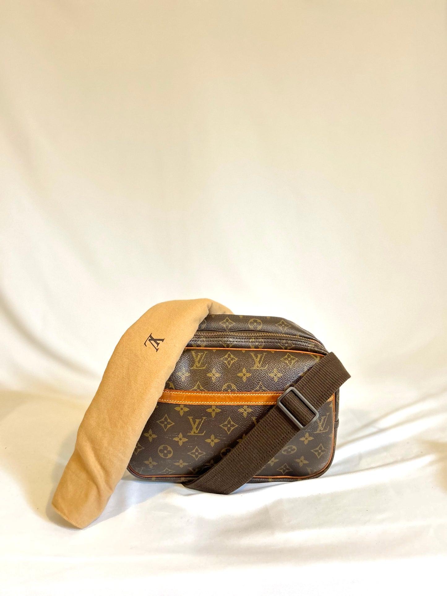 Louis Vuitton Reporteur Bag