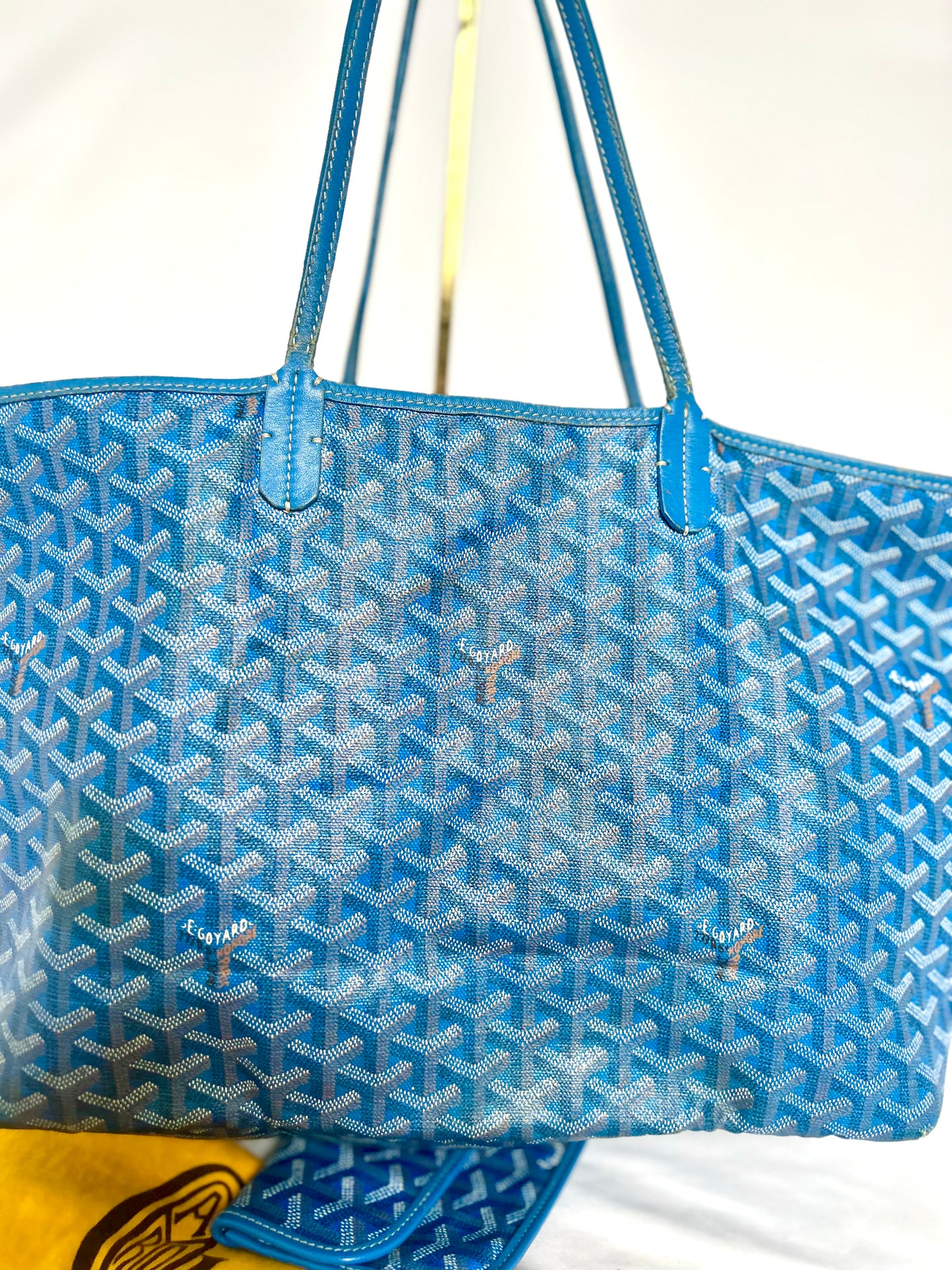 Goyard Saint Louis PM Sky Blue