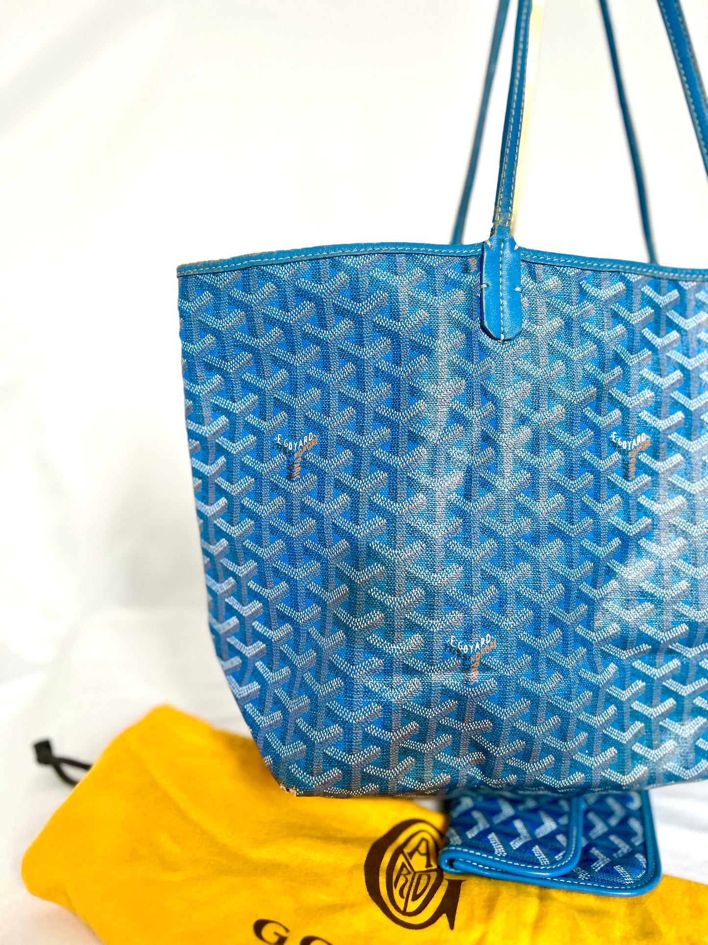 Goyard Saint Louis PM Sky Blue