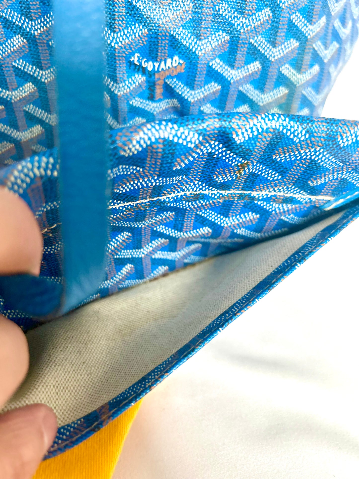 Goyard Saint Louis PM Sky Blue