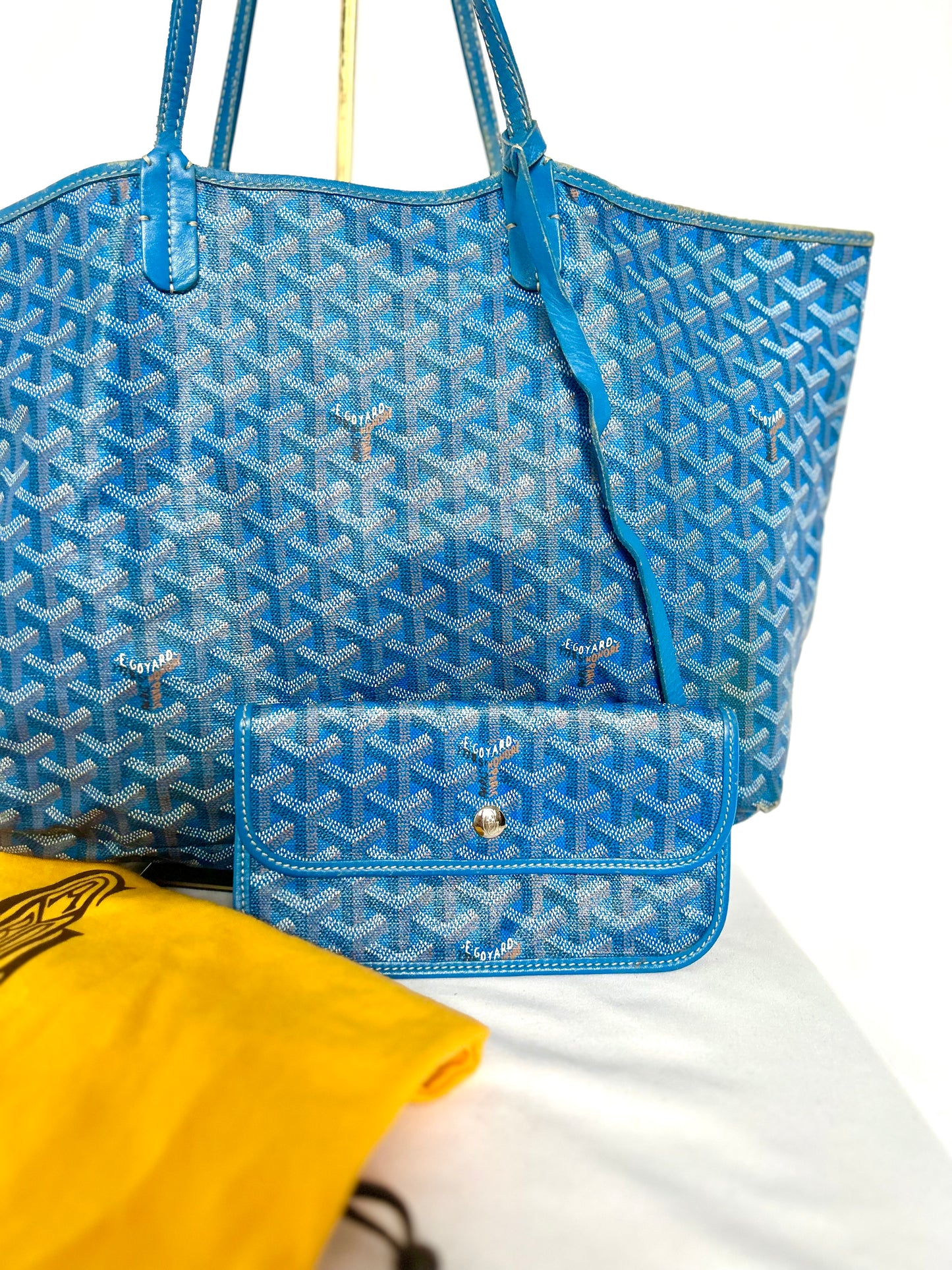 Goyard Saint Louis PM Sky Blue